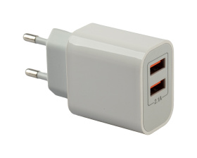 Зарядное устройство (вилка), 2 выхода USB (картонный короб)